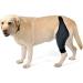 Sosoport Dog Leg Knee Elbow Cat Canine Carpal Dog Foreleg Brace Dog Nose Balm Splint Mesh Fabric Puppy XL As Shown - Buy Online on GoSupps.com