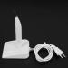 Wlauqueta Dental Gutta Percha Gum Cutter - Teeth Whitening Tool with EU Plug | International Shipping Available - Buy Online on GoSupps.com