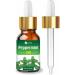Buy Pure Peppermint Essential Oil (15ml) - Organic Undiluted for Hair Skin & Aromatherapy | Global Shipping Available - Buy Online on GoSupps.com