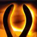Samnuerly Portable Vein Lighting Detector - Easy Subcutaneous Vascular Finder for All Skin Types - Buy Online on GoSupps.com