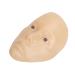 5D Makeup Practice Face Set - Silicone Detachable Eyes for Artists | Improve Skills & Easy to Clean | Reusable Cosmetic Practice Face (Yellow Skin - Buy Online on GoSupps.com
