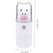 Didiseaon Travel Humidifiers Moisturizer Air Diffuser Facial Humidifier Mini Face Humidifier Mister Sprayer Travel Small - Buy Online on GoSupps.com