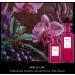 Fine'ry. Madame Eau de Parfum Perfume for Women Long Lasting Scent 2 fl oz - Buy Online on GoSupps.com