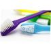 Mipcase Pet Toothbrush 2pcs Cat Toothbrushes Dog Toothbrush Pet Dental Care Pet Toothpaste Dog Teeth Pet Supplies Cats and Dogs The Cat Puppy Toothpaste - Buy Online on GoSupps.com