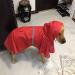 Buy Ocsoso Waterproof Rain Dog Coat - Reflective Light Rain Jacket with Hood for Small & Medium Dogs | Durable Dog Rainwear Protection - Buy Online on GoSupps.com