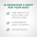 Advantage II Flea Treatment for Large Dogs weighing 11 kg to 25 kg (24 lbs. to 55 lbs.)-2 doses - Buy Online on GoSupps.com