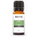 Basil Essential Oil by Revive Essential Oils - 100% Pure Therapeutic Grade for Diffuser Humidifier Massage Aromatherapy Skin & Hair Care