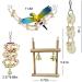 CAMITER 8 Packs Bird Toys Parrots Cage Toys Natural Wood Hanging Swing Shredding Chewing Perches Parrot Toy Parrot Bite Toy for Budgie Parakeet Cockatiel Macaw - Buy Online on GoSupps.com