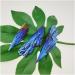 Natural Black Tourmaline Rough Stone Electroplated Blue Crystal Minerals Randomly send 1 Piece - Buy Online on GoSupps.com