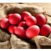 Easter Egg Dye - Red - El Greco - Buy Online on GoSupps.com