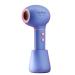 UpPro Cordless Gentle Low Heat/Speed Baby Hair Dryer for Infant  Mini Hair Dryer for Toddler  Baby Butt Blow Dryer for Diaper Rash Prevention  Suits Thin Hair Better(0-3Y Lavender Blue)