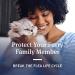 PetArmor Advanced 2 Flea Prevention for Small Cats - 6 Month Supply - Buy Online on GoSupps.com
