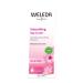 Weleda Wild Rose Smoothing Day Cream - 1 Oz | Natural Skincare for Radiant Skin | International Shipping Available - Buy Online on GoSupps.com