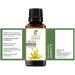 Galbanum Oil 15 ML | 100% Pure Natural Therapeutic Grade Ferula Galbaniflua Essential Oil - Uncut & Undiluted - Buy Online on GoSupps.com