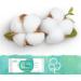 Pampers Aqua Harmonie Baby Wipes 864 Wipes (Pack of 6 x 3 x 48) Fragrance and Alcohol Free With 99% Water and Fibers - Buy Online on GoSupps.com