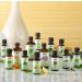 NOW Foods Mental Focus Oil Blend - 30ml Essential Oil for Concentration & Clarity - International Shipping Available - Buy Online on GoSupps.com