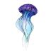 SanerLian Jellyfish Octopus Temporary Tattoo Sticker Set of 24 (SF195) - Waterproof Ocean Watercolor Body Art 10.5X6cm - Buy Online on GoSupps.com