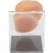 Simulated Ear Model for Earring Display - Skin Friendly, Professional & Soft | RTLR Display - Buy Online on GoSupps.com