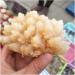 Beautiful Natural Stone Calcite Crystal Flow Raw Quartz Point Selenite Rough Crystal Cluster Calcspar Minerals Crystal - Buy Online on GoSupps.com