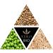 Vegji Bio Vegan Protein Blend 1000g - High Protein Pea Rice & Hemp | Natural Unsweetened Ingredients | 1 Pack - Buy Online on GoSupps.com