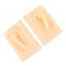 minkissy 1pair Simulation Ear Model Realistic Soft Silicone Teaching Tool for Ear Anatomy Presentation for Students and Professionals and Reusable Design for Educational Purposes 9.5X6.5X4.5CM As Shown