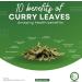 Dried Curry Leaves 0.4 Oz (11.34g)Organic premium grade air dried curry leaves Whole Air Dried Curry Leaves | Aromatic and Distinctive Flavor With All the of Fresh Kari Patta Gluten Free Naturally Herbs Groceries with Flavors Asian Food Indian Spices Pure - Buy Online on GoSupps.com