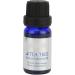 Sexy Hip & Butt Enhancement Oil | Firming Massage Cream for PO Enlargement | Boost Your Curves - Buy Online on GoSupps.com