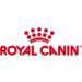 Royal Canin Medium Adult Wet Dog Food Pouches 20 x 140g - Buy Online on GoSupps.com