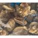 Dried Shitake Mushrooms - 200g by Rooster Brand - Buy Online on GoSupps.com