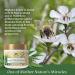 Manuka Honey Eczema Cream - 4oz Moisturizing Lotion for Psoriasis Relief & Itchy Dry Skin - Healing Ointment for Kids, Adults & Babies - Buy Online on GoSupps.com