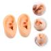 Healeved 4 Pcs Silicone Ear Model Ornament Earrings - Teaching Supplies Anatomy Model - Fake Ear Piercing & Massage Tool - Buy Online on GoSupps.com