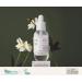 The Plant Base Time Stop Quesera Ceramide Ampoule 30ml - Korean Anti-Aging & Whitening Skincare with 69% Rice Extract | K-Beauty Essential - Buy Online on GoSupps.com