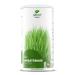 Nature's Finest Organic Wheat Grass Powder | 100% Natural Young Organic Wheatgrass | Rich Source of Protein Fiber & Chlorophyll | Third Party Tested Quality