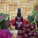 Buy AGADIR Hemp & Red Wine Gloss Spray Treatment - 4 fl. oz. | International Shipping Available - Buy Online on GoSupps.com