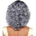 BigBigMe Short Curly Grey Lace Wig for Women - European & American Styling - Natural Look - Buy Online on GoSupps.com