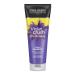 John Frieda Violet Crush for Blondes Toning Shampoo for Blonde Hair Purple Shampoo for Blondes 250 ml 250 ml (Pack of 1)