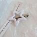 AJTUTUS Fashion Hollow Five-Pointed Star Hairpins Hair Duckbill Clip Sweet Hair Barrettes Sweet Hair Accessory Party Jewelry - Buy Online on GoSupps.com