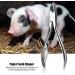 Piglet Teeth Cutter  12cm/4.7in Stainless Steel Tooth Cutter Scissor Pig Tooth Nipper Piglets Teeth Clipper - Buy Online on GoSupps.com