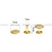 100pcs Metal Double Cap Rivets Studs Rapid Rivets 9mm Gold - Leather Craft Repair - 4 Colors - Buy Online on GoSupps.com
