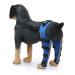 Adjustable Knee Brace for Dogs Pet Hind Legs Protector for CCL Injury Patella Luxation Arthritis Joint Pain Dog Leg Braces for Back Leg|Blue (S)