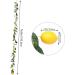 HOMSFOU 3 Pcs Simulation Lemon Rattan Hanging Vine Plant Garland Fruit Garland Mantle Garland Lemon Garland Diy Lemon Berry Vine Simulated Lemon Vine Spring Fake Flower Vine Silk Cloth - Buy Online on GoSupps.com