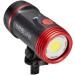 Sea Dragon 2500F Head Light Head (SL6712) - Powerful Lighting for Underwater Exploration - Buy Online on GoSupps.com