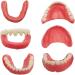 DIY Fake Tooth Repair Kit - Temporary Partial & Full Dentures | Regain Your Confident Smile - Buy Online on GoSupps.com