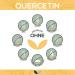 Quercetin 500 mg Capsules - 90 Vegan Bioflavonoids with High Bioavailability & Tolerability - Natural Plant-Based Supplement - Buy Online on GoSupps.com