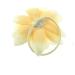 Zac's Alter Ego Cream Water Lily Flower on Elastic - Buy Online on GoSupps.com