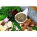 Coriander Seeds - Excreted Coriander Seeds - Reduced Seeds - Premium Quality from Bulgaria - 250g Bag - Buy Online on GoSupps.com