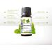 SenseLAB Patchouli Essential Oil - 100% Pure Therapeutic Grade Oil for Hair, Skin, Diffuser - 10ml - Buy Online on GoSupps.com