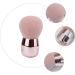 Didiseaon 1pc Pink Makeup Brush Powder Brush Foundation Brush Mushroom Shape Makeup Loose Powder Makeup Cosmetic Makeup Tool Brush Face Makeup Brush Face Makeup Tools Blusher Brush 9.3X5cm Pink - Buy Online on GoSupps.com