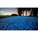 Glow Blue Fish Tank Rocks - 100pcs Glow in The Dark Pebbles for Aquarium, Garden, Plant Pots & Walkways - Buy Online on GoSupps.com