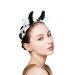 Hofar Face Wash Headband with Cow Horns | Cartoon Cute Hair Accessories - Black - Buy Online on GoSupps.com
